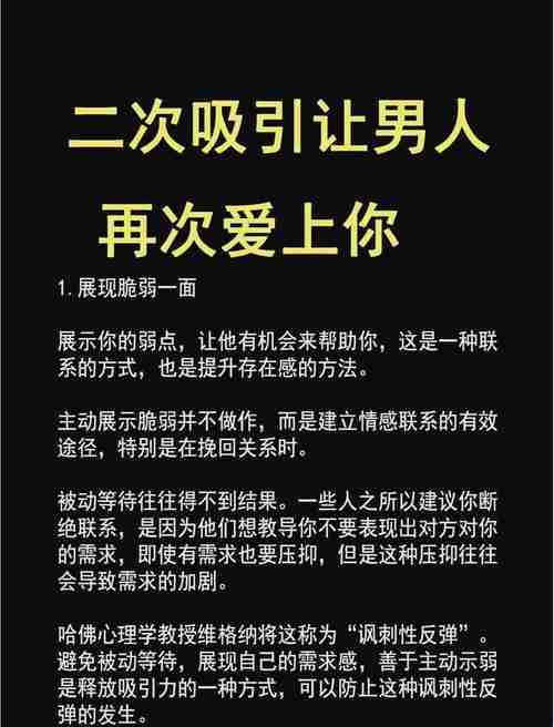 揭秘你的专属秘籍，揭秘你的专属秘籍，揭秘你的专属秘籍，从零基础到成功