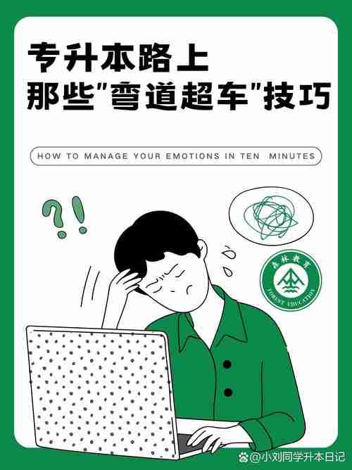 澳洲创业如何弯道超车？新手必看五大高效技巧揭秘